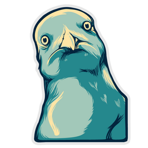 N.Y.C Pigeon 2x3 Die Cut Vinyl Sticker